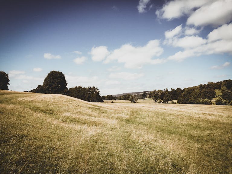 Tranquil countryside landscape in Derbyshire, England with grassy fields and trees under a blue sky.